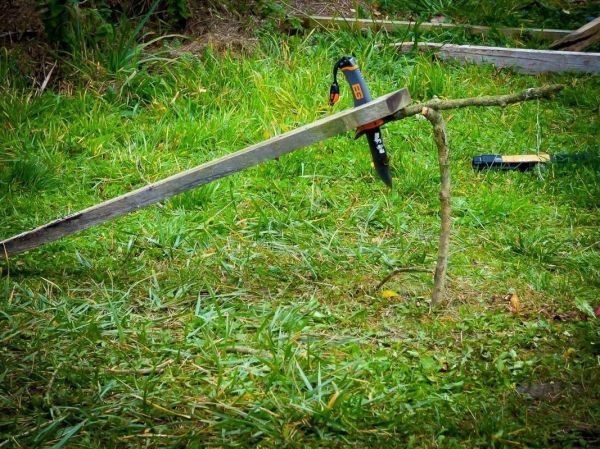 Holzstück mit einer Klappsäge auf einem Ast fixiert