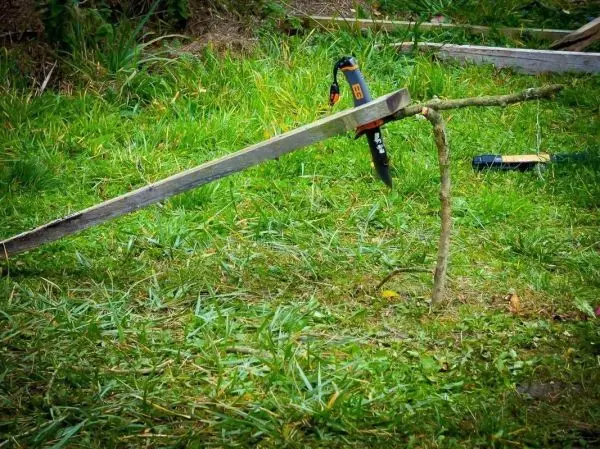 Holzstück mit einer Klappsäge auf einem Ast fixiert