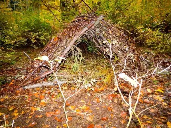 Laubhütte aus Ästen und Blättern im Wald