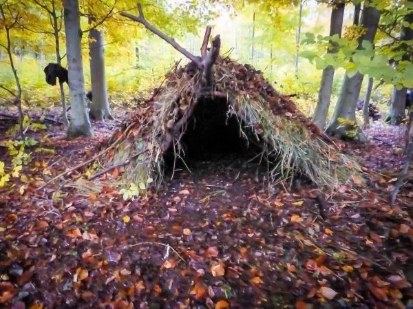 Laubhütte aus Ästen und Blättern im Wald, umgeben von herbstlichem Laub