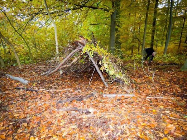 Laubhütte aus Ästen und Blättern in einem Waldgebiet