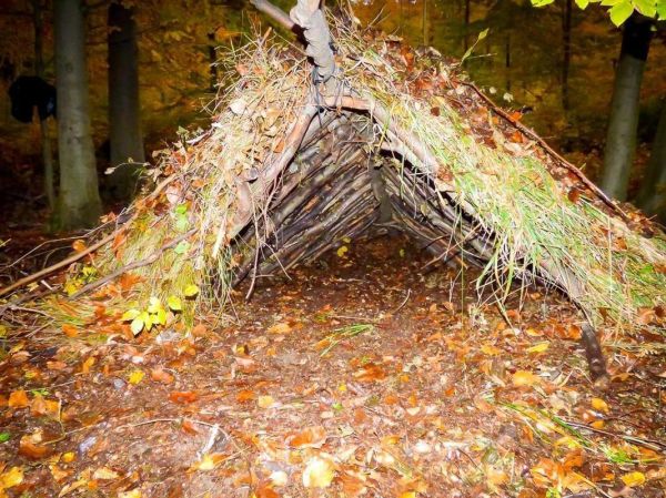 Laubhütte aus Ästen und Gras im Wald