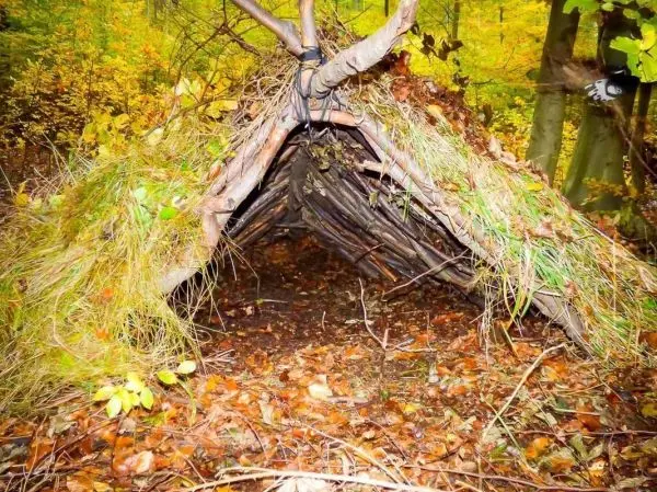 Laubhütte aus Ästen und Gras in einem Waldgebiet