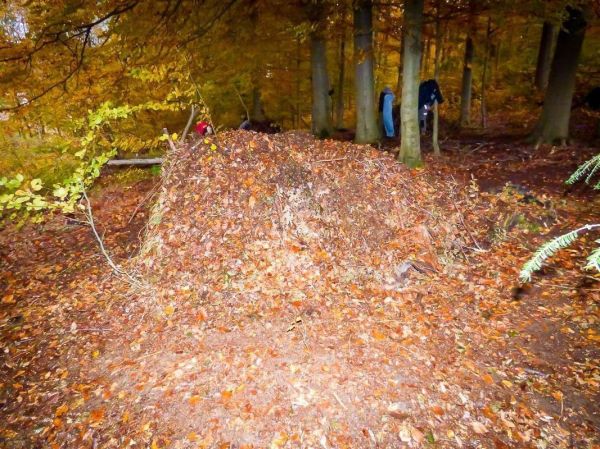 Laubhütte aus Ästen und Laub im Wald, umgeben von herbstlichen Blättern
