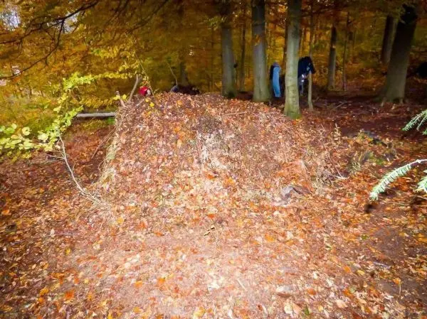 Laubhütte aus Ästen und Laub im Wald, umgeben von herbstlichen Blättern
