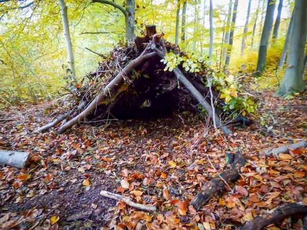 Laubhütte aus Ästen und Zweigen im Wald, umgeben von buntem Laub