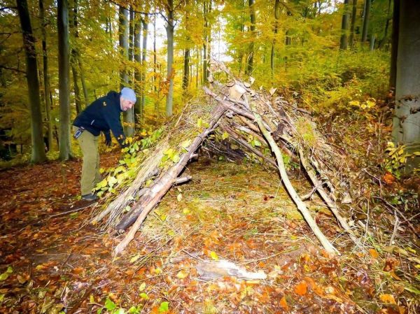 Mann konstruiert eine Laubhütte aus Ästen und Blättern im Wald
