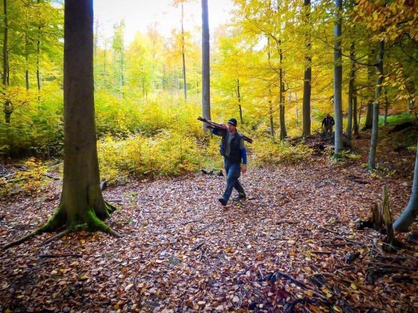 Mann mit Stock geht über Laubboden im herbstlichen Wald
