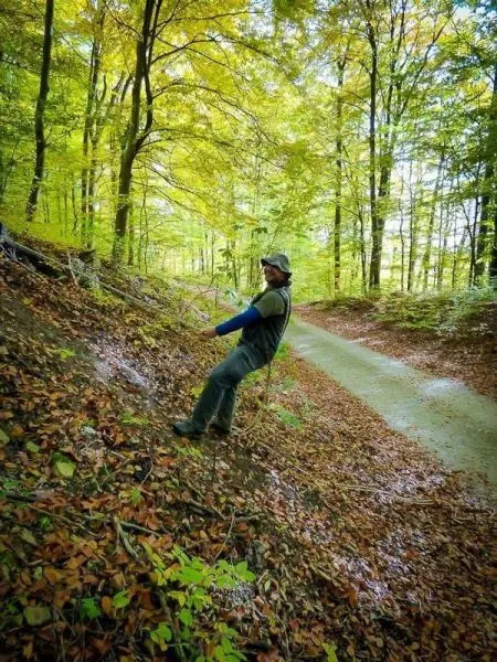 Person seilt an einem Hang im Wald ab