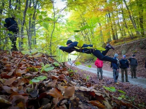 Person springt über einen Laubhaufen im Wald