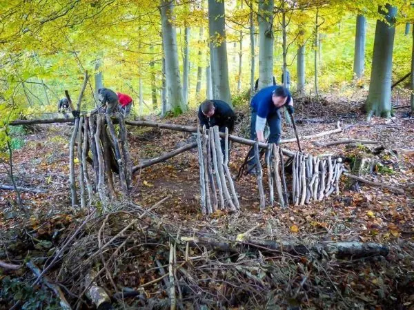Personen bauen eine Struktur aus Ästen im Wald