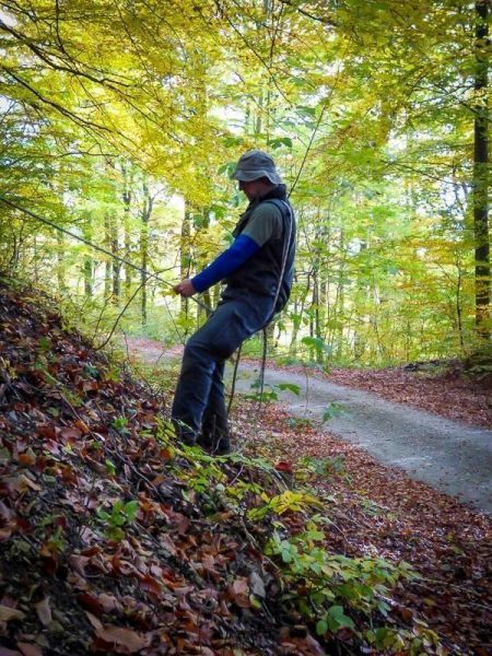 Seil wird an einem Baum befestigt, während Laub und Bäume im Hintergrund sichtbar sind