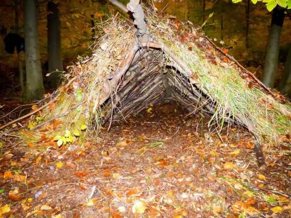 Selbstgebaute Unterkunft aus Ästen und Blättern im Wald