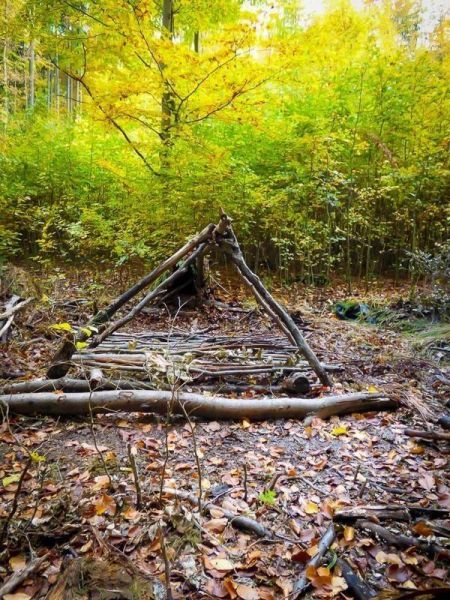 Tarp-Notunterkunft aus Ästen in einem Waldgebiet mit herbstlichen Blättern