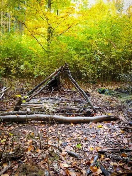 Tarp-Notunterkunft aus Ästen in einem Waldgebiet mit herbstlichen Blättern