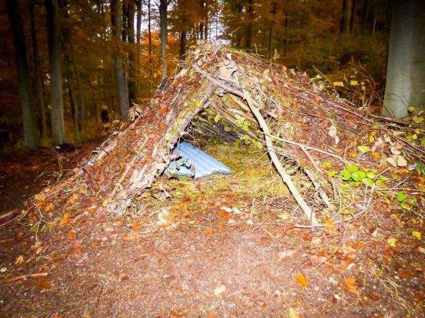 Tarp-Notunterkunft aus Ästen und Laub im Wald aufgebaut