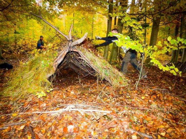 Zwei Personen bauen eine Laubhütte aus Ästen und Gras im Wald