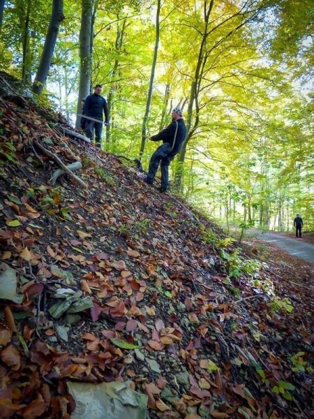 Zwei Personen sichern sich mit einem Seil an einem steilen Hang im Wald