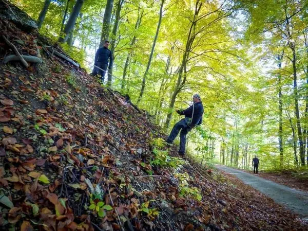 Zwei Personen sichern sich mit Seil an einem steilen Hang im Wald