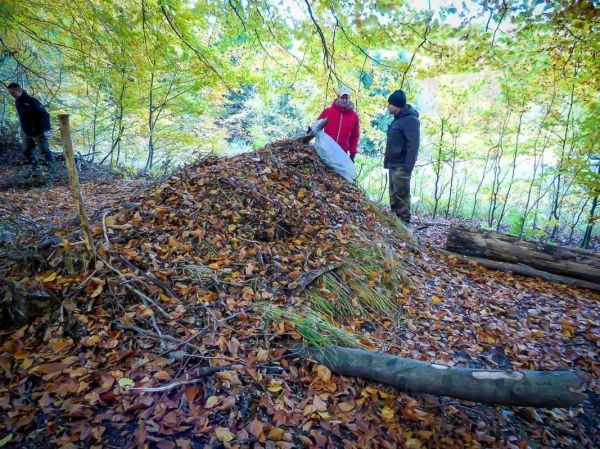 Zwei Personen überprüfen eine Laubhütte aus Blättern und Zweigen im Wald