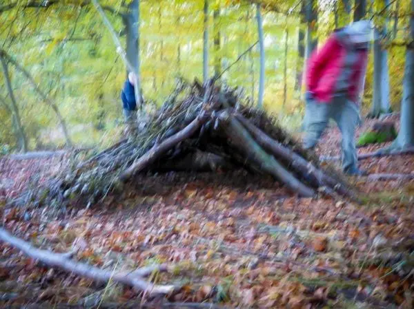 Zweige und Äste bilden eine Tarp-Notunterkunft im Wald