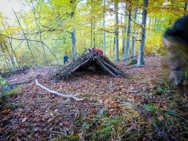 Zweige werden zu einer Tarp-Notunterkunft in einem Wald aufgebaut
