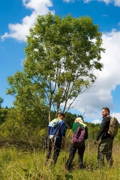 Drei Personen gehen durch eine Wiese mit hohem Gras und einem Baum im Hintergrund