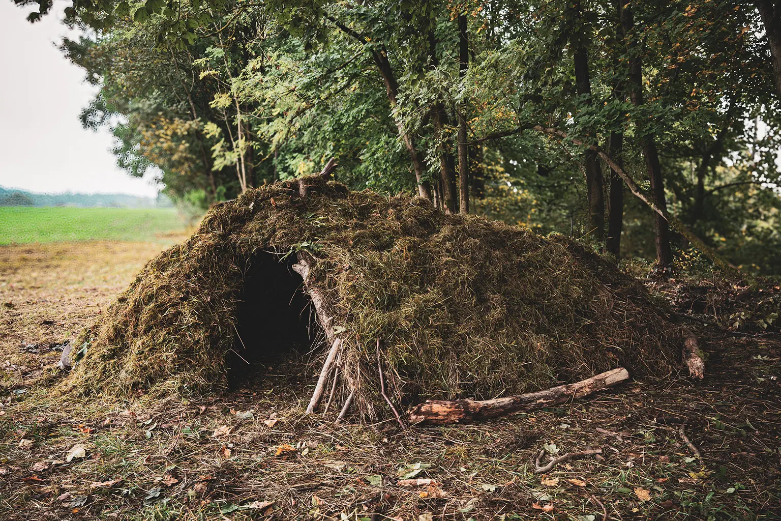 A-Frame-Unterstand im Wald, Vorderseite halb geschlossen, klare Tropfkante und überlappende Naturdeckung