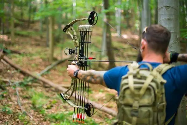 Bogen wird im Wald gespannt, Pfeile sind bereit zum Abschuss