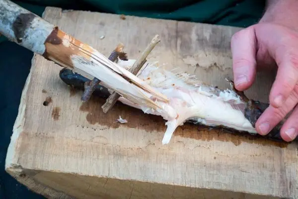 Fisch wird auf einem Holzbrett mit improvisiertem Werkzeug ausgenommen