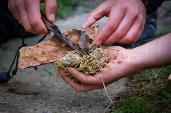 Hände schneiden Rinde und halten trockenes Gras zusammen beim Überlebenstraining