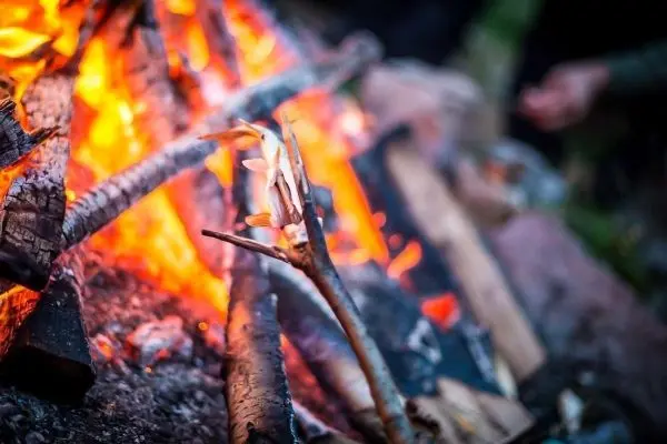 Kleine Flamme zwischen Holzscheiten, Zunder glimmt im Feuer