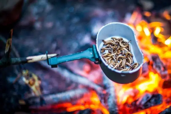 Schüssel mit Insekten über einem Feuer gehalten