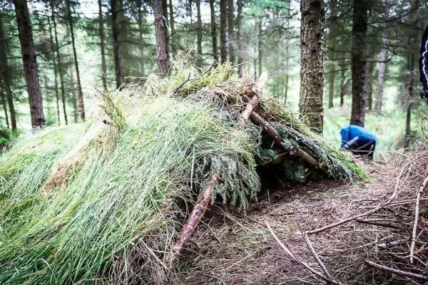 Selbstgebaute Tarp-Notunterkunft aus Ästen und Gras im Wald