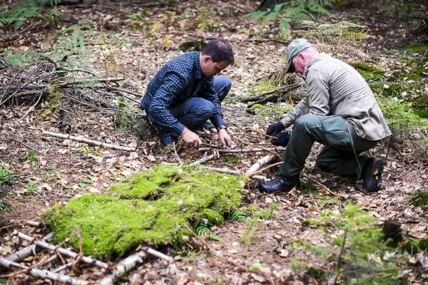 Zwei Personen bauen eine improvisierte Trage aus Ästen und Moos im Wald