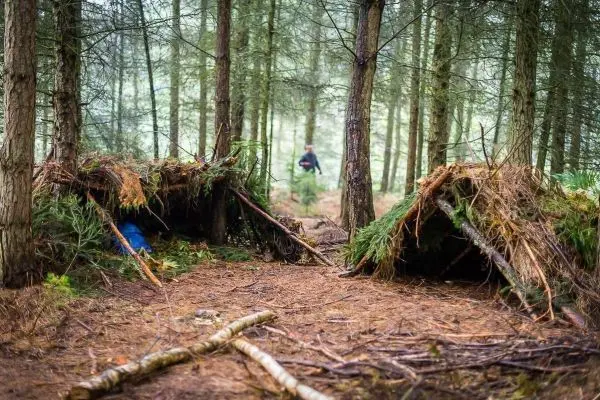 Zwei selbstgebaute Unterstände stehen im Wald, Person im Hintergrund