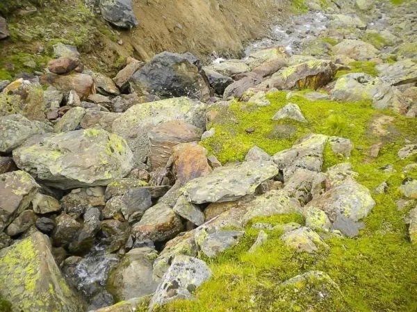 Bachlauf zwischen großen, moosbedeckten Steinen in einer felsigen Umgebung