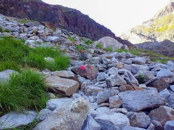 Geröllfeld mit grünem Gras und einem pinken Markierungspunkt auf einem Stein
