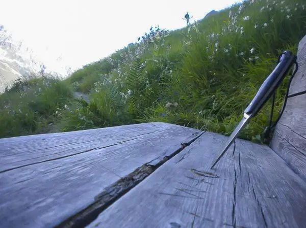 Messer steckt in einer Holzoberfläche, umgeben von Gras und Blumen