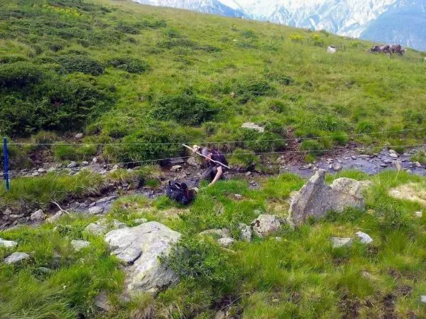 Selbstgebaute Seilquerung über einen kleinen Bach mit Steinen im Gras