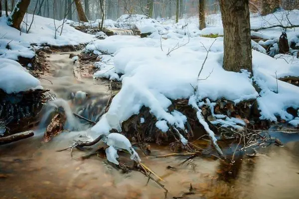 Bach mit schneebedecktem Ufer und Bäumen im Hintergrund