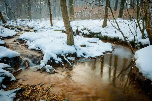 Bachlauf mit Schnee und Bäumen im Winterwald