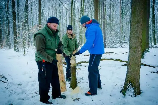 Drei Personen arbeiten im Schnee im Wald mit Holz