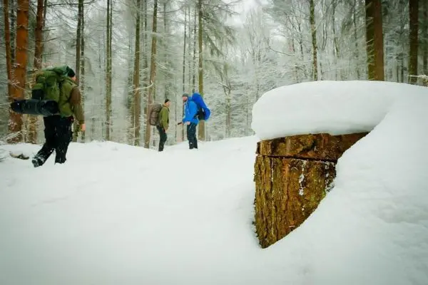 Drei Personen im Schnee, Baumstumpf im Vordergrund, verschneite Bäume