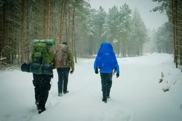 Drei Personen wandern durch verschneiten Waldweg