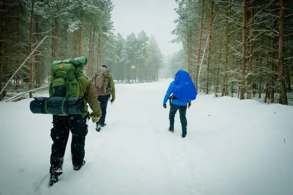 Drei Personen wandern durch verschneiten Waldweg