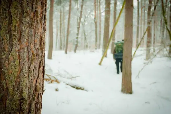 Person geht durch einen verschneiten Wald zwischen Bäumen