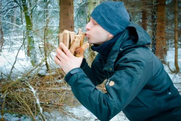 Person hält Holzscheite in den Händen im Wald
