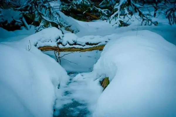 Schneebedeckter Weg mit einem Baumstamm als Brücke