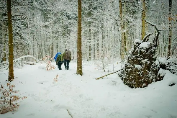 Zwei Personen gehen durch einen verschneiten Wald